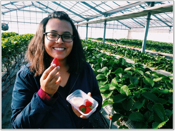 Kawatsura Strawberry Farm Customers