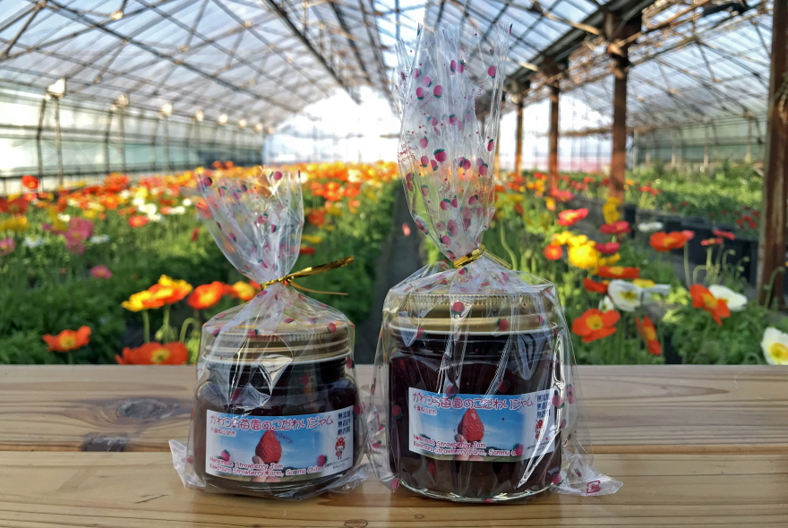 Green house of Kawatsura Strawberry Farm